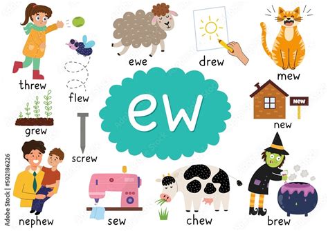 Vetor de -Ew- digraph spelling rule educational poster for kids with ...