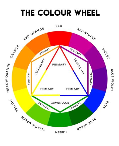 The Color Wheel In Color Assessment Color Wheel Color Color Theory ...