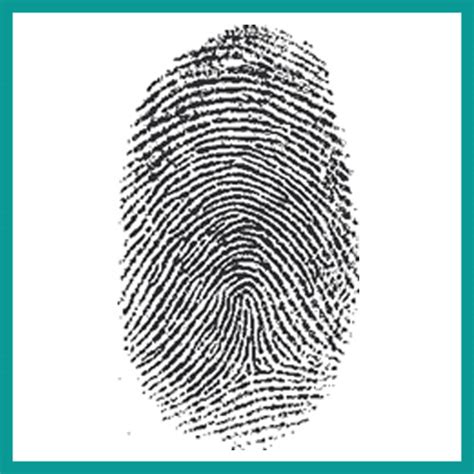 Fingerprint/Biometrics Jeopardy Template