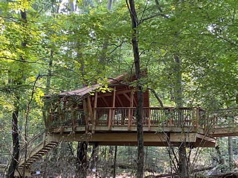 Join a Naturalist in the Treehouse - Ohio Bird Sanctuary