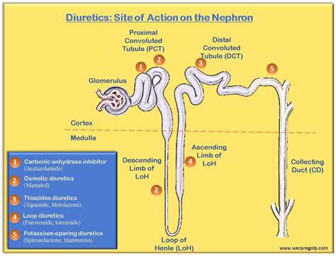 Diuretics - We Care