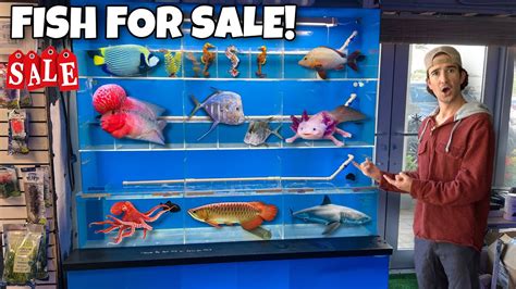 This Store SOLD Me Strange RARE Fish... - YouTube