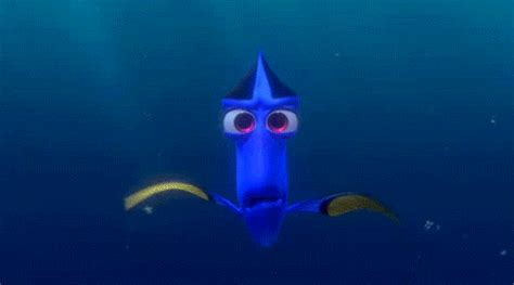 Finding Nemo Fish GIF - Find & Share on GIPHY