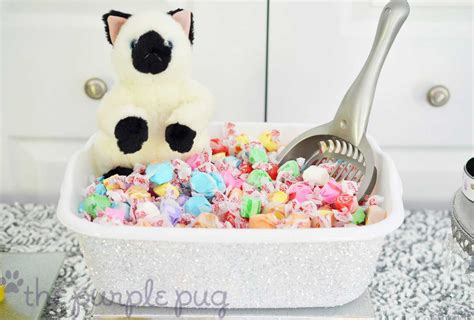 19 Purr-Fect Cat Birthday Party Ideas | Shutterfly