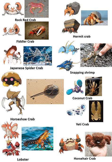 Crab Species Pokemon : r/PokemonScarletViolet