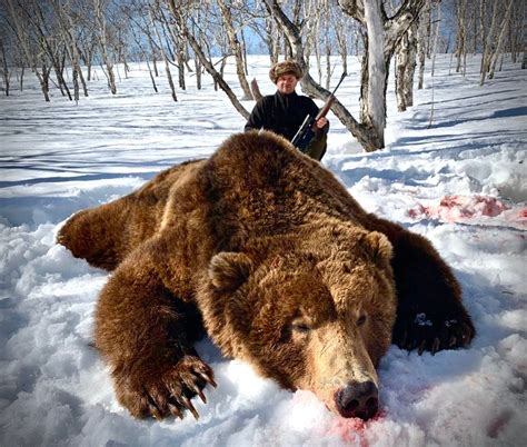 Bear Hunting Outfitter in Russia | Guided Brown Bear hunts in Russia