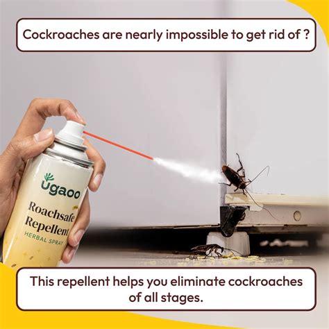 Buy the Powerful Cockroach Repellent: An Ultimate Roach Killer Spray