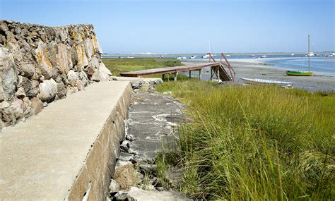 The North Shore's Salt Marshes Play A Key Environmental Role | WBUR News