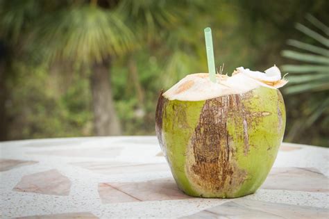 8 Health Benefits of Drinking Coconut Water – Saona Island