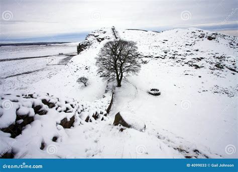 Sycamore Gap stock image. Image of winter, heritage, hood - 4099033