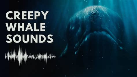 Creepy Whale Sounds | Eerie Underwater Screeching - YouTube