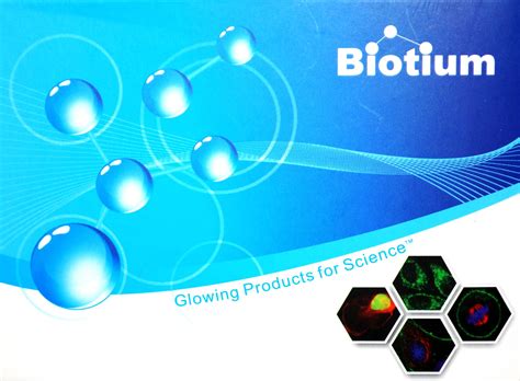 Mix-n-Stain Biotin Antibody Labeling Kit - Biotium