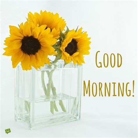 Good Morning Sunflowers Quote Pictures, Photos, and Images for Facebook ...