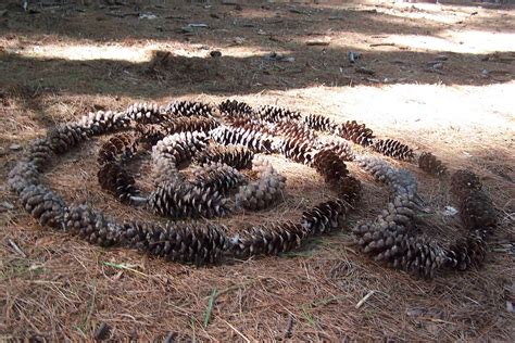 Play Ideas: Nature art inspired by Andy Goldsworthy