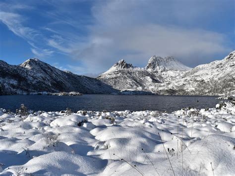 Tasmanian weather has wombats and bushwalkers enjoying the snow | The ...