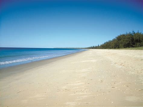 Coral Coast Pathways: Woodgate Beach Walk (14km) - Burrum Coast ...