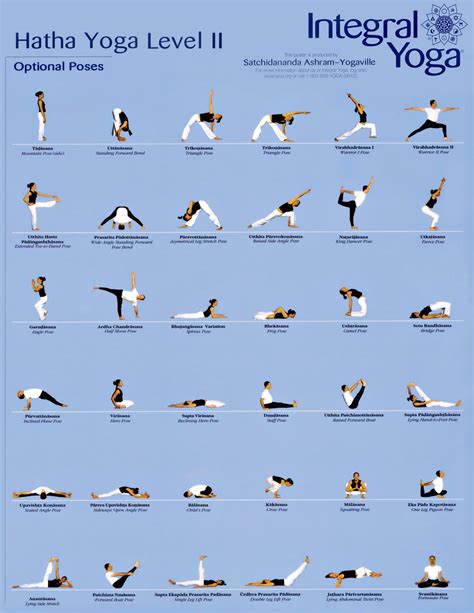 Hatha Yoga Poses Beginners - Work Out Picture Media - Work Out Picture ...