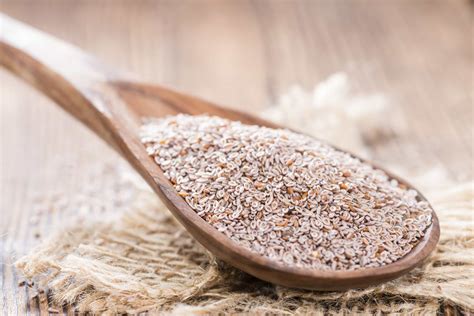 Visitor Question: Will psyllium help with weight loss? – Walking Off Pounds