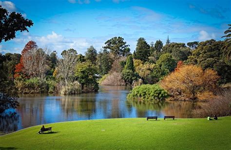 Are Dogs Allowed In The Botanical Gardens Melbourne