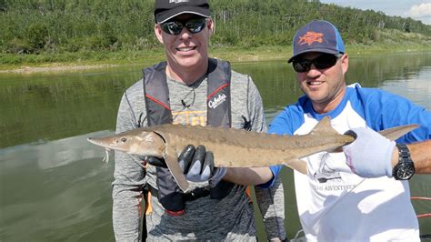 North Saskatchewan River… an anglers paradise? - Let's Go Outdoors Canada