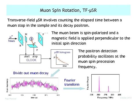 Applications of Muon Spin Spectroscopy in Chemistry Paul