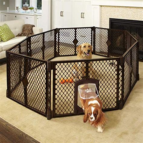 Best RV Dog Fences for 2021 - Where You Make It