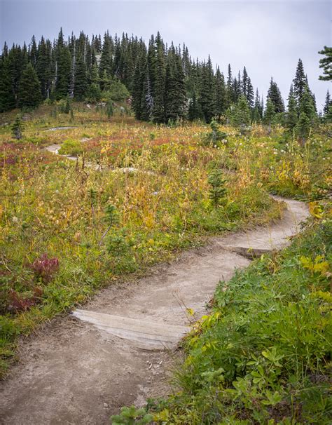 Chinook Pass - Sarah Dove Photography