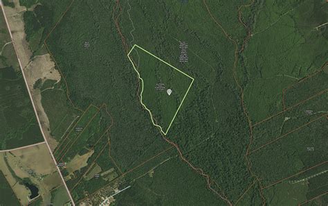 125 acres for sale in Colleton, SC | Southern Pines Plantations