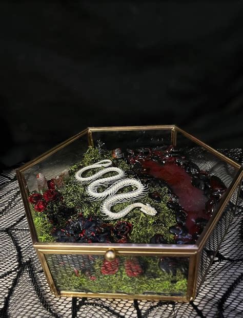 Snake Terrarium : r/OddityCollectors