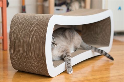 The Best Cat Beds (According to Our Cats) | Reviews by Wirecutter