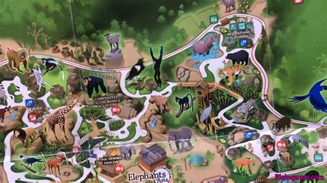 2019 Los Angeles Zoo Map and Botanical Gardens - YouTube