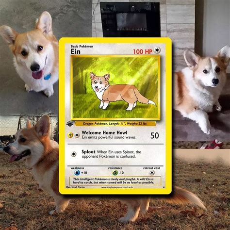 Artist Transforms Pets Into Pokémon Cards (30 Pics) | Pokemon cards ...