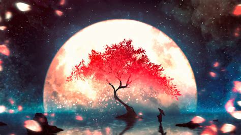 Anime, Night, Scenery, Moon, Cherry Blossom 4k, HD Wallpaper | Rare Gallery