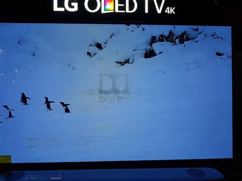 LG OLED TV at US retailer shows burn-in | ZDNet