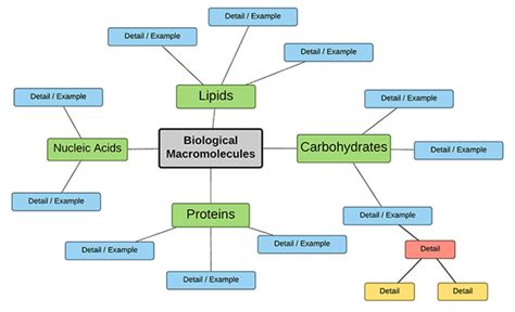 Create a Concept Map of Biomolecules - Biology LibreTexts