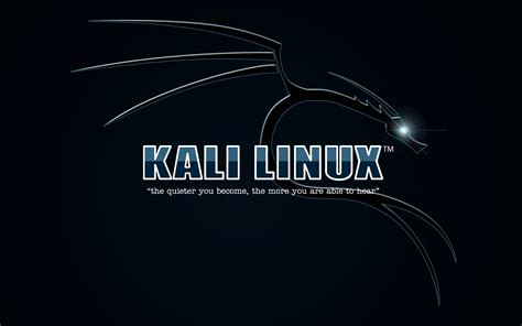 Kali Linux logo HD wallpaper | Wallpaper Flare