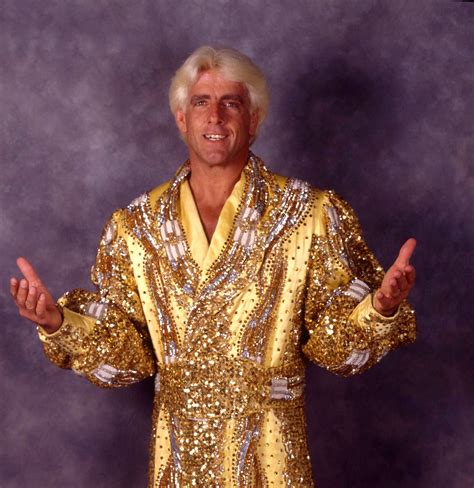 CrazyTights | Ric Flair (robes) - Gold