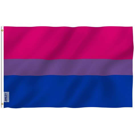 Anley Fly Breeze 3x5 Foot Bi Pride Flag - Vivid Color and Fade proof ...