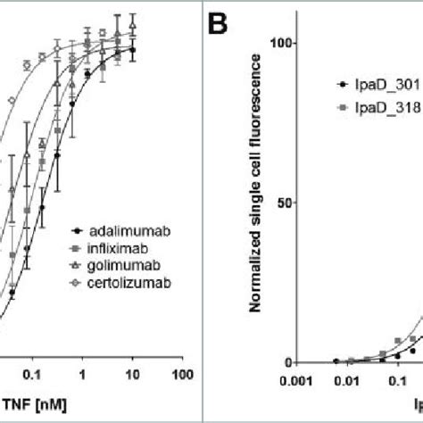 Affinity of Fab antibody fragments expressed on the surface of yeast ...