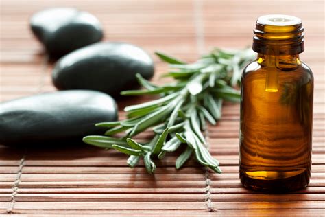 Rosemary Essential Oil Benefits for Hair Loss and Skin Aging