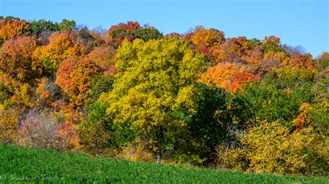 Fall Colors - Holy Hill | Backcountry Gallery Photography Forums