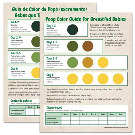 Chicken Poop Color Chart