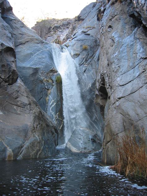 Tahquitz and Indian Canyon Hikes