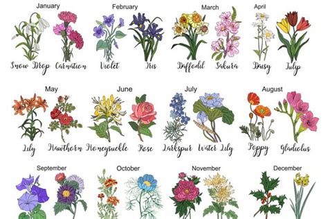 November And December Birth Flower Tattoo | Best Flower Site