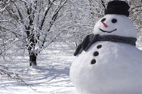 The History of the Snowman – Crimsonian