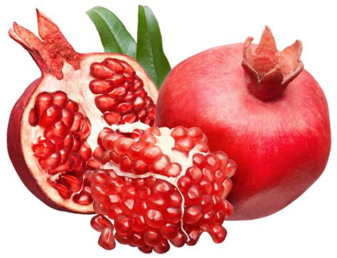 pomegranate clipart - Clip Art Library