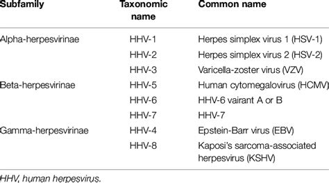 Classification of human herpesviruses. | Download Scientific Diagram