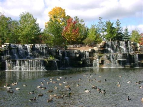 Waterfall area - Picture of Bay Beach Wildlife Sanctuary, Green Bay ...