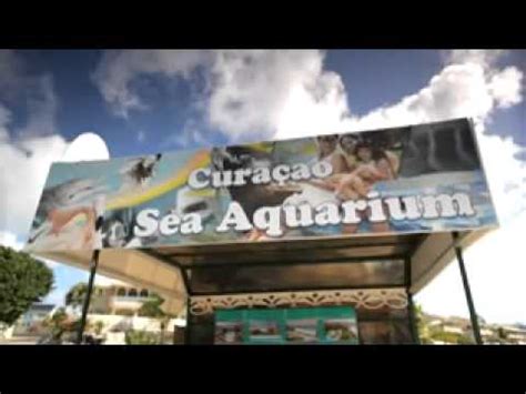 Curacao Sea Aquarium Park - YouTube