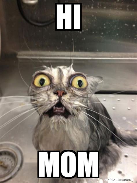 Hi Mom - Cat bath Meme Generator